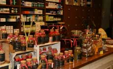 The Art of Perfumery in Florence