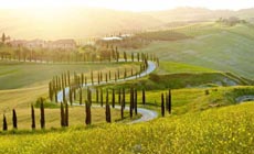 Brunello Sideways - Vip Wine Tour in the Tuscan Unesco Heritage