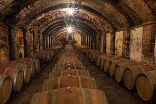 Tuscany Wine Trail - Barrels